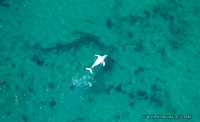 Broome, Western Australia<br />Added 10/07/2015
